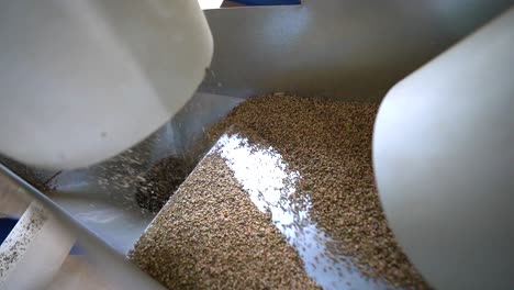 Automated-Machine-Separating-Hemp-Seeds-From-Other-Weeds---close-up
