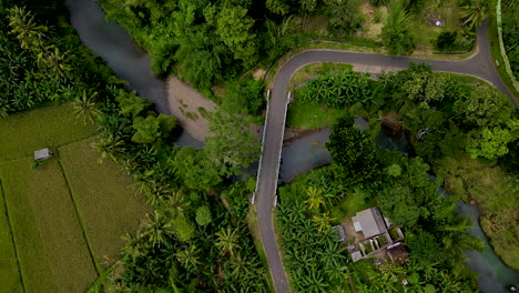 Puente-De-Carretera-Que-Cruza-El-Arroyo-Con-Campos-Verdes-Y-árboles-En-El-Campo-De-Bali,-Indonesia