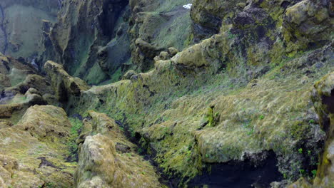 White-birds-flying-in-a-steep-mountain-valley-of-extraordinary-rock-formations-covered-with-green-moss