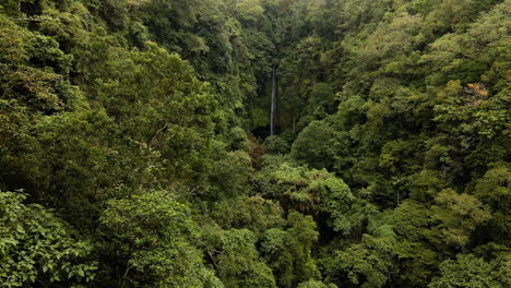 Volando-Sobre-Un-Denso-Bosque-Hacia-La-Aislada-Cascada-Pucak-Manik-En-Wanagiri,-Bali,-Indonesia