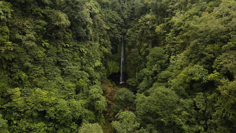 Dichte-üppige-Vegetation-Rund-Um-Den-Pucak-Manik-Wasserfall-In-Bali,-Indonesien---Luftdrohnenaufnahme