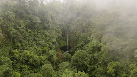 Misty-Green-Forest-With-Pucak-Manik-Waterfall-In-Wanagiri,-Bali,-Indonesia