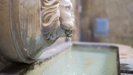 Old-stoned-water-fountain-with-a-lion-head-statue,-clear-water-dropping-in-slow-motion-on-a-beautiful-day-in-the-south-of-France