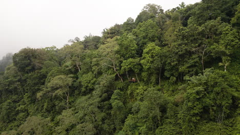 Drone-Flew-Away-From-Tourists-On-Viewing-Deck-In-Midst-Of-Foggy-Verdant-Forest-In-Bali,-Indonesia