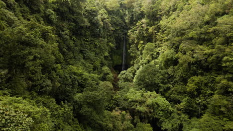Aerial-view-of-Pucak-Manik-Waterfall-in-the-Lush-Green-Forest-in-Bali,-Indonesia---drone-shot