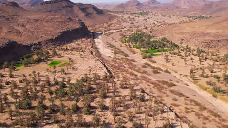 Luftaufnahme-Von-Palmen,-Die-In-Der-Getrockneten-Wüste-Marokkos-An-Hellen,-Sonnigen-Tagen-Wachsen---Klimawandel,-Globale-Erwärmung-Der-Erde