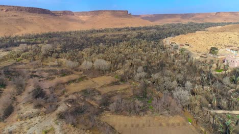 Aerial-backwards-shot-of-dry-desert-with-forest-trees-and-fields-in-Morocco,Africa-during-heat-in-summer