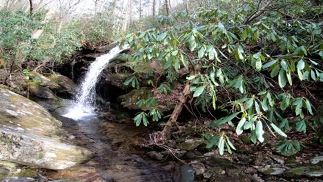 Wasserfall-Im-Hintergrund-Mit-Rhododendron-An-Den-Ufern-Im-Vordergrund-In-Den-Blue-Ridge-Mountains-In-4k