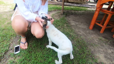 adorable-cute-puppy-dog-jumps-up-into-blonde-woman's-arms-as-she-pets-him
