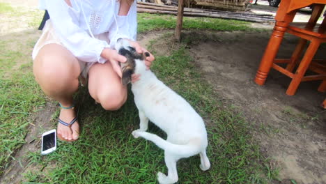 Adorable-Lindo-Cachorro-Salta-A-Los-Brazos-De-Una-Mujer-Rubia-Mientras-Lo-Acaricia