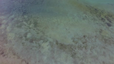Die-Salinen-Von-Bonaire