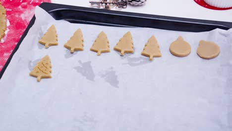 Young-women-placing-cut-out-gingerbread-cookies-on-white-baking-paper-in-baking-tray