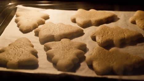 Baking-traditional-Christmas-cookies-in-kitchen-oven