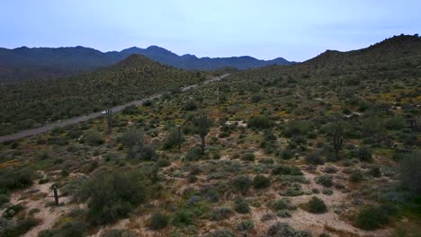 Aerial-pull-back-from-a-lonely-desert-road-into-spring-flower-bloom-desert-revealing-Bartlett-Lake,-Tonto-National-Forest,-Scottsdale,-Arizona