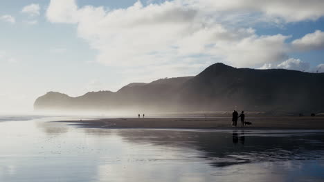 silhouette-of-father-and-son-on-beach-with-their-dog-as-the-son-swings-his-arms-and-they-look-off-at-the-surf-on-a-sunny-day-at-North-Piha-in-Auckland-New-Zealand-with-beautiful-fluffy-clouds