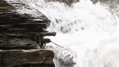 detail-video-of-water-waterfall-and-water-dripping-off-shoreline-rock