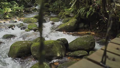 Wandern-Auf-Einer-Holzbrücke-über-Einem-Flusslauf-In-Einem-Amazonas-Regenwald-Mit-Felsen-Und-Tropischen-Pflanzen