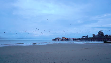 Birds-flying-at-Capitola-Beach-Pier-during-early-morning-hours