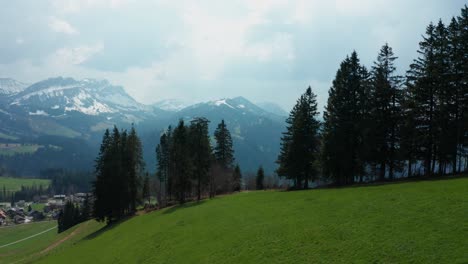 Luftaufnahme-Des-Schönen-Grünen-Grashügels-Im-Entlebuch,-Schweiz,-Atemberaubende-Berglandschaft-Frühlingsfarben-Schneeberge-Naher-Vorbeiflug-An-Kiefern-Mit-Drohne