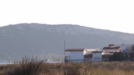 Ein-Vogelschwarm,-Der-Aus-Dem-Gelben-Strandfeld-Herausfliegt,-Mit-Häusern-Und-Berghügeln-Im-Hintergrund