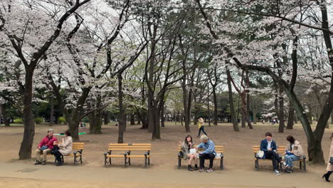 Couples-sitting-on-benches-having-a-rest-at-Yoyogi-Park