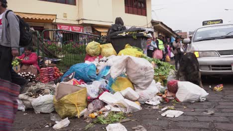 Street-dogs-searching-for-food-in-trash-between-people-on-market,-Peru