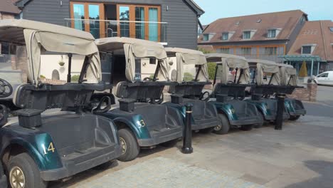 Line-of-golf-carts-parked-up