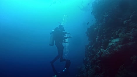 Silueta-De-Un-Buzo-Moviéndose-En-Azul-Profundo