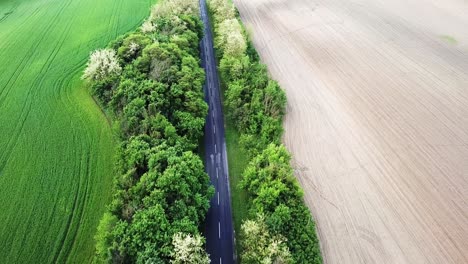 Aerial-shot-of-a-road-with-trees-green-and-yellow-fields-on-the-sides-zala-county-hungary-europe