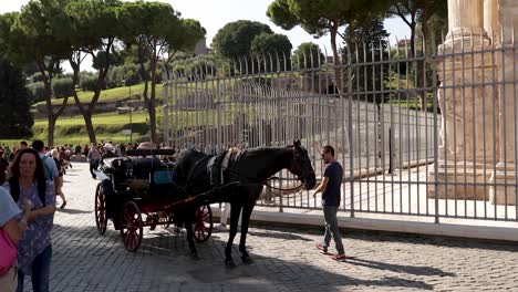 Steady-shot-of-horse-drawn-carriage-standing-next-to-fence-at-a-public-place-in-the-city-of-Rome,-Italy-at-a-sunny-day