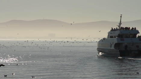 Catamarán-Saliendo-Del-Puerto-De-Ciudad-Del-Cabo-Hacia-Robben-Island