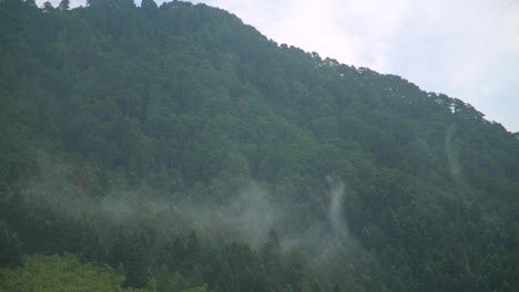 Tag-Aufnahme-Des-Nebligen-Grünen-Waldes-In-Griechenland-Epirus-Bergpanoramablick