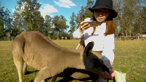 Niña-Alimentando-Canguro,-Australia