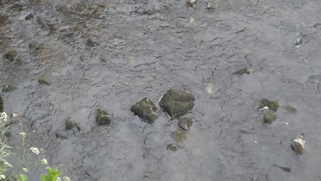 Slow-motion-of-rocks-on-the-a-river-bank