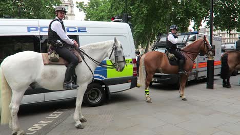 Britische-Polizei-Zu-Pferd-Mit-Polizeiwagen-Im-Hintergrund-Während-Des-Protests