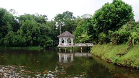 gazebo-at-beautiful-pond-near-forest-area