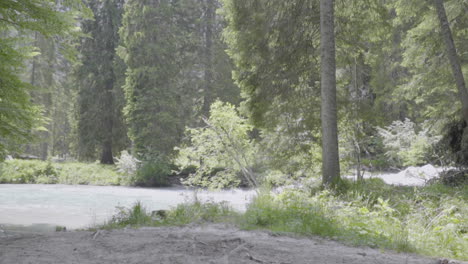 Stream-in-the-woods-of-the-italian-Alps-slow-motion-100-fps
