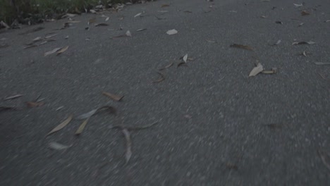 Skater-doing-a-kickflip-on-the-street-at-dawn