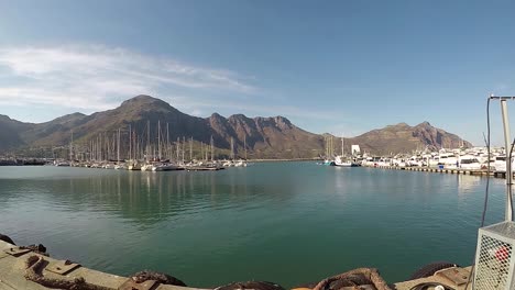 Kap-Pelzrobbe-Schwimmt-Während-Eines-Zeitraffers,-Der-Im-Hafen-Von-Hout-Bay-In-Kapstadt,-Südafrika,-Aufgenommen-Wurde