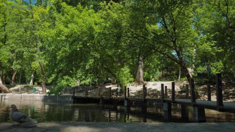 People-crossing-a-small-bridge-inside-Vajdahunyad-castle