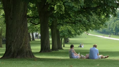 4K-Man-and-Woman-Sitting-Under-a-Tree-Drinking-Water-on-The-Long-Walk-in-Windsor-during-Summer,-UK