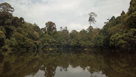 Vista-Panorámica-Sobre-Un-Lago-Y-Parte-De-La-Selva-Tropical-En-Borneo,-El-Hábitat-De-Miles-De-Especies
