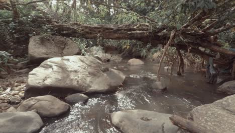 Flusswasser-Fließt-Unter-Umgestürzten-Baum