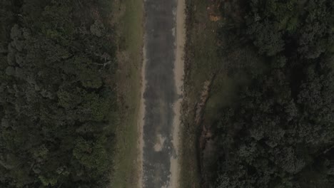 Revealing-drone-shot-of-a-Road-in-a-jungle