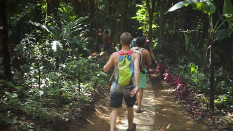 Un-Grupo-De-Excursionistas-Caminando-Por-Un-Sendero