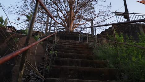 Majestic-View-of-the-Tree-in-Narahari-Parvatha-Temple,-DK-KA-India