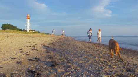 Active-middle-aged-people-with-dog-walking-on-the-beach-with-a-lighthouse-in-the-background-before-the-sunset,-wide-shot-with-lens-flare