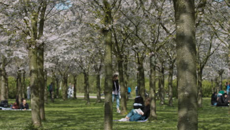 Verschwommene-Sicht-Auf-Die-Menge-Im-Park