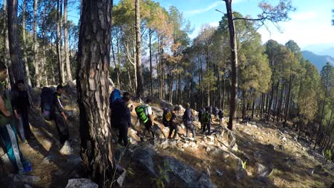 Himalayan-Mountaineers-at-Himalayas-Forest,-Upper-Himalayas,-Uttarakhand,-India-for-their-morning-exercise