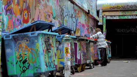 Graffiti-En-La-Pared,-Obra-De-Arte-Con-Aerosol-Callejero-En-Hosier-Lane-Melbourne-Cbd